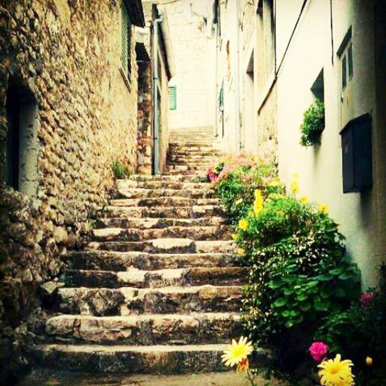 Aparthotel Castrum Novum Novigrad Istria Dış mekan fotoğraf