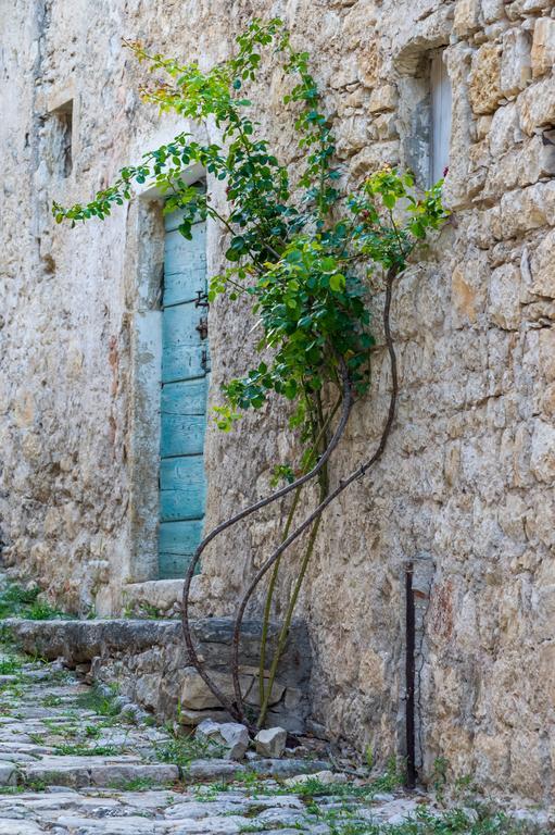 Aparthotel Castrum Novum Novigrad Istria Dış mekan fotoğraf